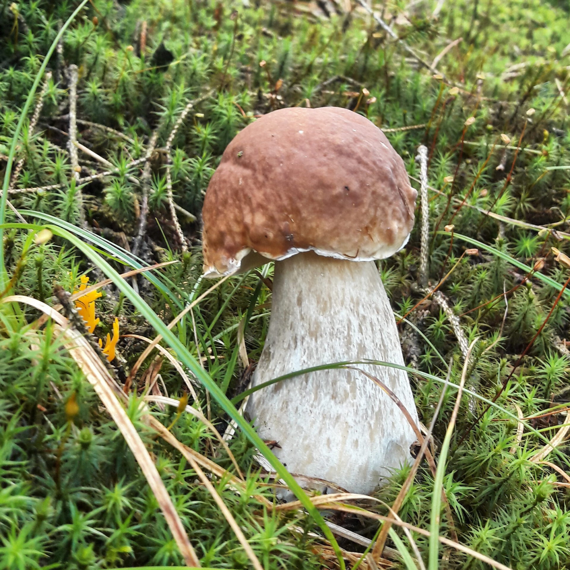 Die Herbstsaison hat begonnen