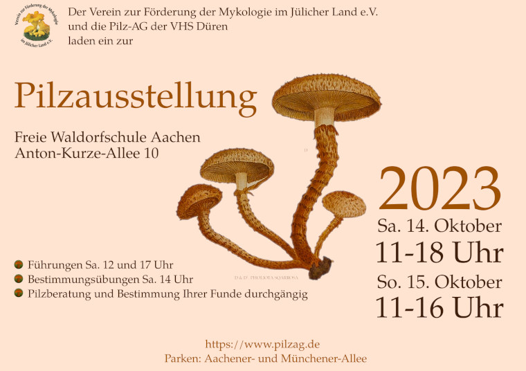 Pilzausstellung 2023