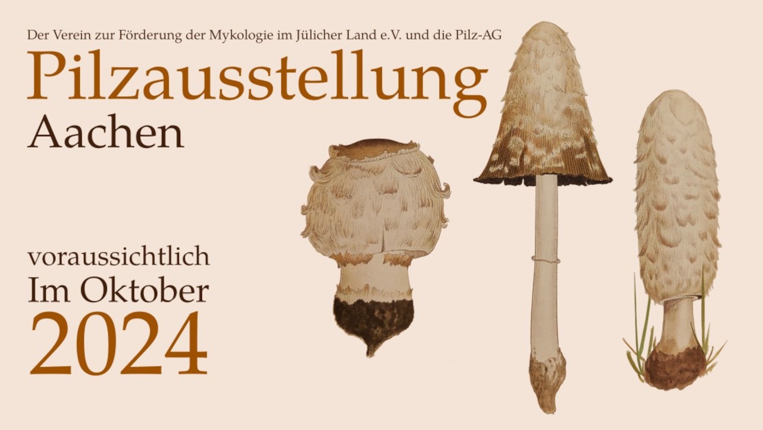 Vorschau Pilzausstellung 2024