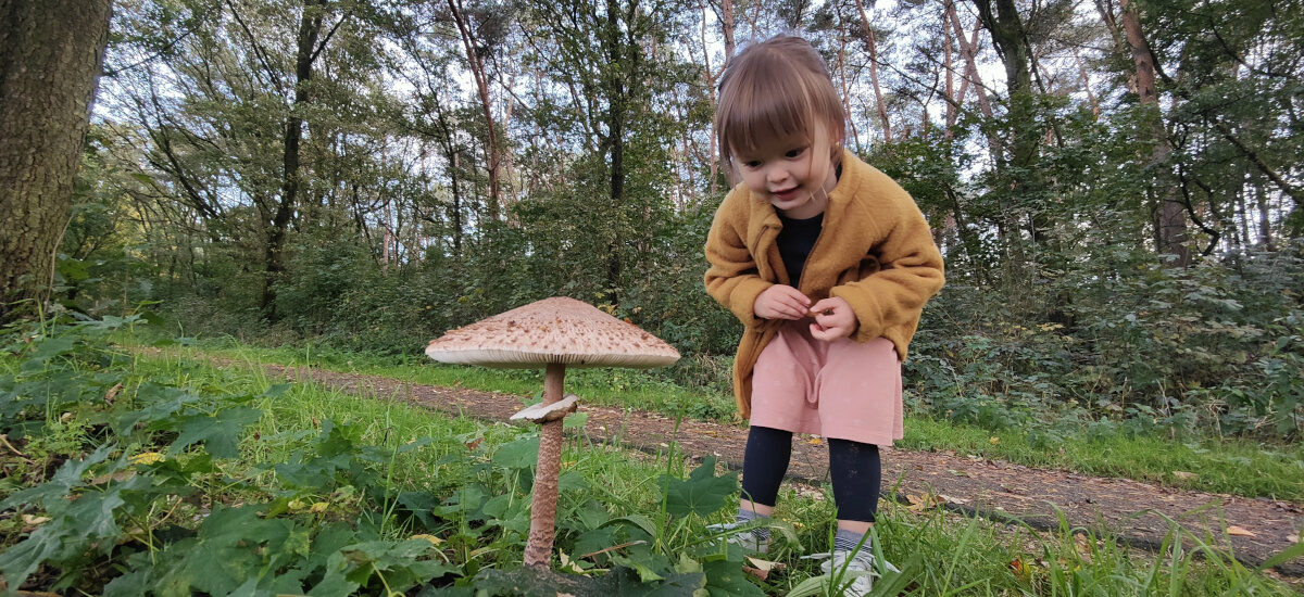 Begeisterung für Pilze